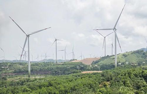 Điện gió phát triển mạnh ở Quảng Trị.