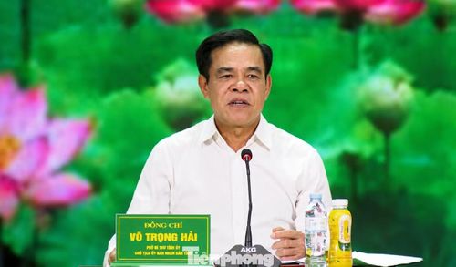 Ông Võ Trọng Hải - Phó Bí thư Tỉnh ủy, Chủ tịch UBND tỉnh Nghệ An.