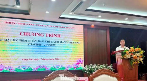Ông Đoàn Thanh Sơn - Phó Chủ tịch UBND tỉnh Lạng Sơn, phát biểu. Ảnh: Trọng Đảng