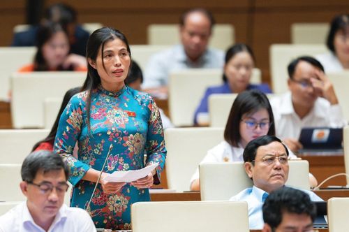 Tại nghị trường, đại biểu Hồ Thị Minh tạo dấu ấn với phong cách chất vấn thẳng thắn, sắc sảo nhưng gần gũi, mộc mạc. Ảnh: NVCC