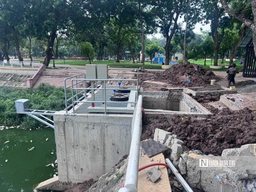 Cụ thể, thời gian gần đây, mực nước trong hồ được hạ thấp để phục vụ công tác thi công trạm bơm nằm ở cuối công viên. Điều này dẫn đến lượng ô xi trong nước bị sụt giảm.