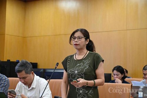 Bà Đặng Thanh Mai, Phó Cục trưởng Cục Khí tượng Thủy văn thông tin tại Họp báo. Ảnh: Thanh Trà