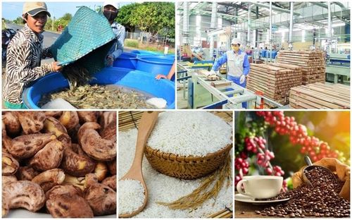 Kim ngạch xuất khẩu nông, lâm, thủy sản tháng 5/2026 ước đạt 6,46 tỷ USD - Ảnh minh họa