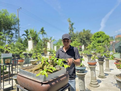 Anh Phạm Phú Khánh bên vườn mai tiền tỷ. Ảnh: HOÀNG LIÊN