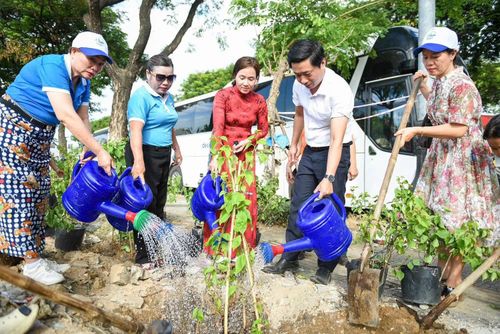 Phong trào “Tổ dân phố thân thiện môi trường” với phương châm “5 có, 5 không” đang được các tổ dân phố trên địa bàn phường Hòa Khánh hưởng ứng thực hiện. Ảnh: HOÀNG HIỆP