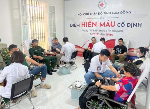 Những trái tim tình nguyện hiến máu cứu người tại Điểm hiến máu cố định - Hội CTĐ tỉnh