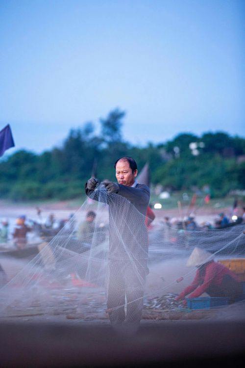 Gỡ lộc biển
