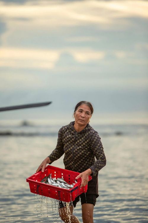Lộc biển sau chuyến biển đêm