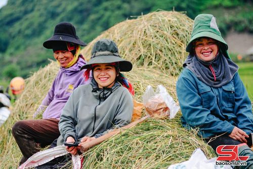 Nông dân phấn khởi sau khi hoàn thành việc thu hoạch lúa.