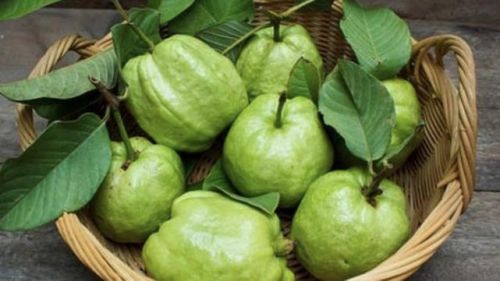 Ăn ổi không chỉ giúp đẹp da, chống lão hóa mà còn hỗ trợ giảm cân. Ảnh minh họa