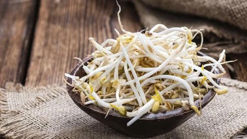 Ăn giá đỗ sống có thể khiến nguy cơ nhiễm khuẩn tăng cao 