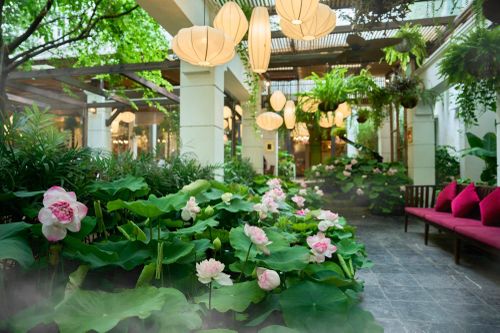 Ngon Garden (70 Nguyễn Du) được vận hành theo mô hình all-day-dining (phục vụ cả ngày), với phương châm “Hà Nội 12 mùa hoa, Nhà Ngon 12 mùa đỏ lửa”. Ảnh: PHT