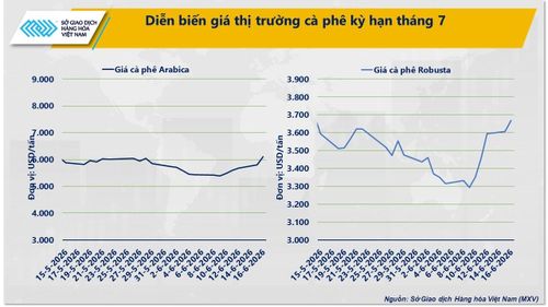 Diễn biến giá cà phê kỳ hạn tháng 7. Nguồn: MXV
