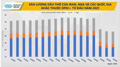 Sản lượng dầu thô của các quốc gia hàng đầu kể từ đầu năm 2025 đến nay. Nguồn: MXV
