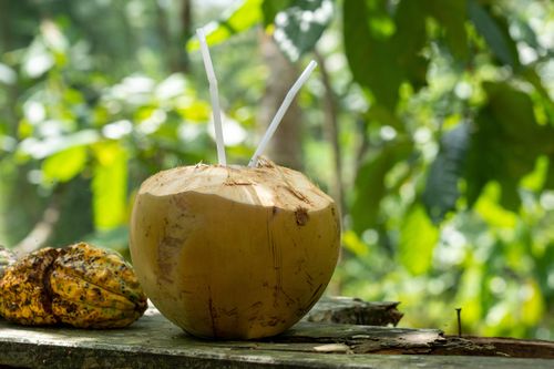 Nước dừa có thể mang đến nhiều lợi ích cho thận. Ảnh: Freepik.