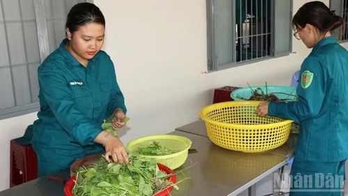 Sau giờ huấn luyện, các nữ dân quân cùng nhau vào bếp chuẩn bị những bữa cơm ngon cho đơn vị.