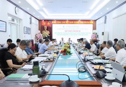 Các chuyên gia, nhà khoa học đã đưa ra nhiều đóng góp sâu sắc cho việc thực hiện đề án “Phát triển Tạp chí khoa học Nông nghiệp và Môi trường tiếng Anh theo tiêu chuẩn quốc tế, định hướng chỉ mục vào Scopus”. Ảnh: BTC