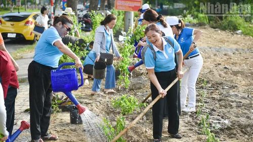 Những vườn hoa, cây xanh, rau sạch dần hình thành trên đất trống từ bàn tay chị em.