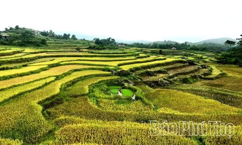 Xóm Đồi Thung 1 và Đồi Thung 2 xã Mường Vang được xem là “trái tim” của các dự án mà Sun Group đầu tư.