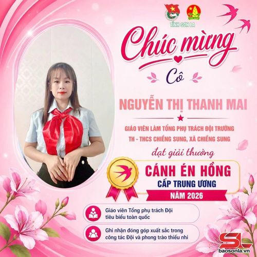 Cô Nguyễn Thị Thanh Mai đạt giải Cánh én hồng Hội đồng Đội Trung ương. Ảnh: Nhân vật cung cấp