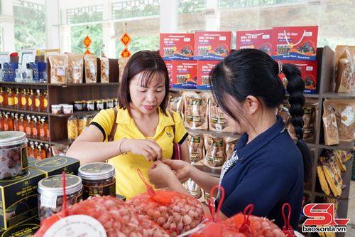Du khách trải nghiệm sản phẩm Tỏi đen của HTX Sản xuất và kinh doanh tỏi Phù Yên