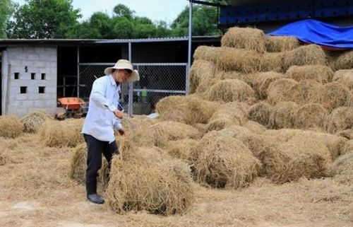 Công nghệ đang thay đổi tư duy của người dân trong việc cải tạo đất