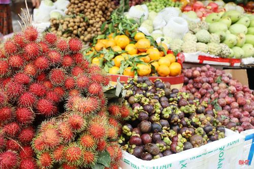 Để phục vụ nhu cầu mua sắm lễ vật của người dân, các gian hàng hoa quả bày bán phong phú chủng loại với số lượng lớn.
