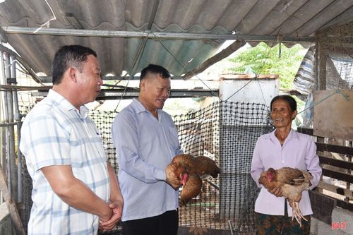 Bà Phan Thị Loan ở thôn Thống Nhất phấn khởi vì đàn gà sinh kế phát huy tốt hiệu quả.
