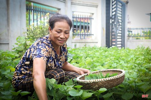  Những sản phẩm đan lát ở Nam Giang được người dân sử dụng trong sinh hoạt hằng ngày nhờ sự tiện dụng và độ bền cao. 