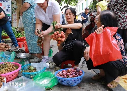 Không khí mua bán tại chợ Hàng Bè (phường Hoàn Kiếm). (Ảnh: Khánh Hòa/TTXVN)