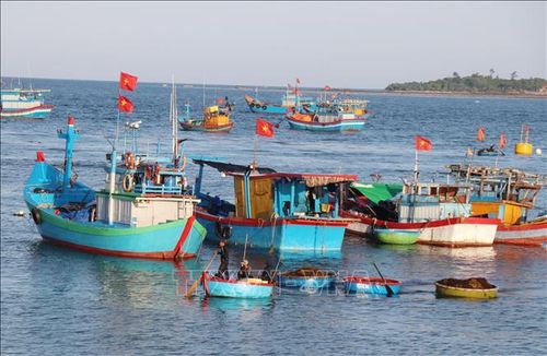 Vẻ đẹp bình yên ở làng chài Phước Thiện.
