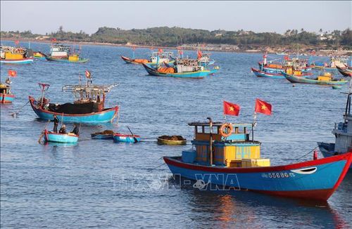 Những chiếc thuyền gỗ nằm nghỉ ngơi ven bờ sau chuyến ra khơi.