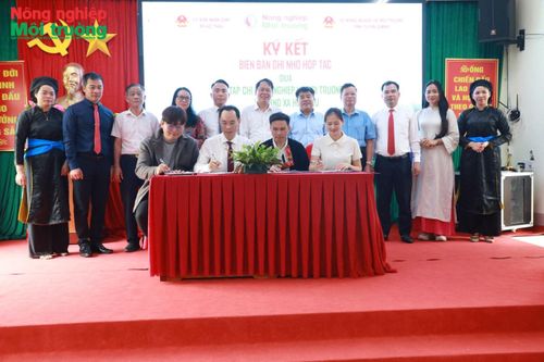 Lễ ký kết hợp tác "3 nhà" do Tạp chí Nông nghiệp và Môi trường tổ chức góp phần đưa công nghệ và tiêu thụ sản phẩm chè Shan tuyết.