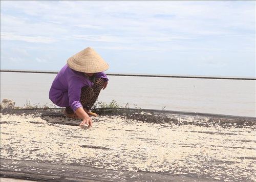 Mùa khai thác ruốc nơi đây bắt đầu từ nay đến hết tháng 8 (âm lịch).