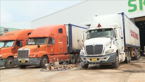 Giữa mùa thu hoạch sầu riêng, từ sáng sớm đến tận khuya, các tuyến đường dẫn vào xã Nghĩa Trung, các điểm thu mua luôn ken đặc xe tải và xe container chở sầu riêng.