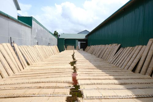 Thành công của bánh tráng làng Tày cho thấy, khi những giá trị bản địa được phát huy đúng hướng, kết hợp với chính sách hỗ trợ phù hợp, hoàn toàn có thể tạo ra những sản phẩm đặc trưng mang giá trị kinh tế cao