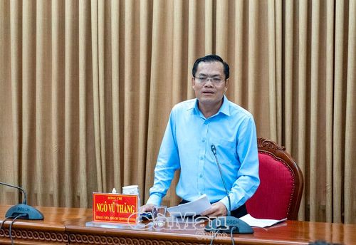 Phó Chủ tịch UBND tỉnh Ngô Vũ Thăng phát biểu chỉ đạo.