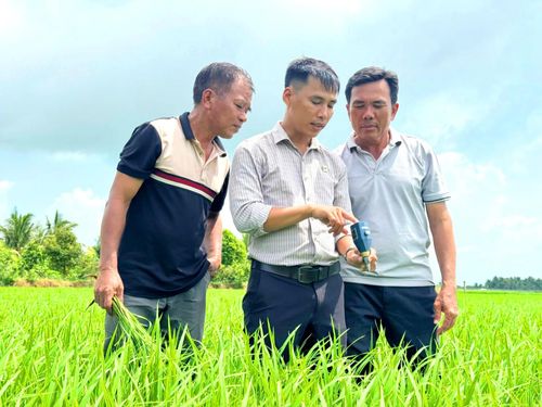 Thông qua chương trình “Hành trình xanh - Đất khỏe, cây trồng khỏe”, nông dân được hướng dẫn đo các chỉ tiêu đồng ruộng, đánh giá sức khỏe đất để áp dụng giải pháp canh tác phù hợp.