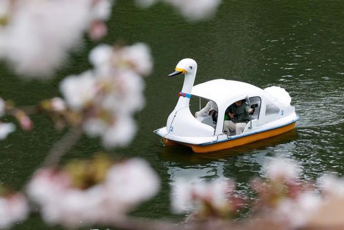  Du khách đi thuyền, chụp ảnh với hoa anh đào tại công viên Chidorigafuchi, Tokyo, Nhật Bản, ngày 26/3. Ảnh: Reuters. 