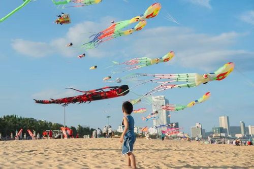 12 đội diều và hơn 300 cánh diều nghệ thuật tham dự, mang đến không gian văn hóa, du lịch đặc sắc cho người dân và du khách.