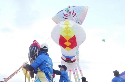 Các đội tham gia tranh tài ở nội dung gồm biểu diễn diều không xương, diều bầy, diều đèn và diều đồng đội.
