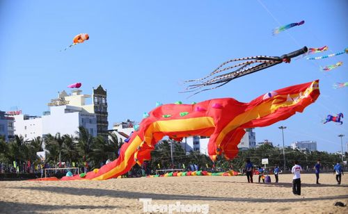 Anh Hà Hoàng Huy (31 tuổi, thành viên câu lạc bộ diều Cái Bè) cho biết, diều cá sấu với chiều dài 33m. Theo anh Huy, các đội tham gia năm nay đều chuẩn bị kỹ lưỡng với nhiều mẫu diều đẹp, sáng tạo và có quy mô lớn.
