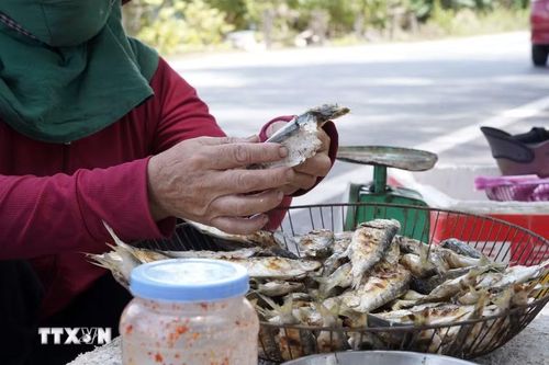 Nghề nướng cá trích không chỉ giúp tạo công ăn việc làm, thu nhập cho bà con vùng biển mà còn góp phần quảng bá đặc sản quê hương. (Ảnh: Thanh Thủy/TTXVN)