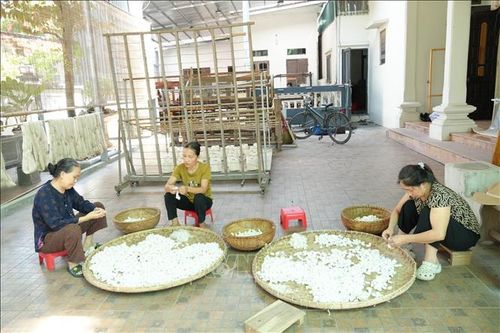 HTX chủ động mọi khâu sản xuất từ trồng dâu, nuôi tằm, ươm tơ, dệt vải đến trưng bày và phục vụ xuất khẩu, mở ra hướng đi bền vững cho người dân trong vùng.