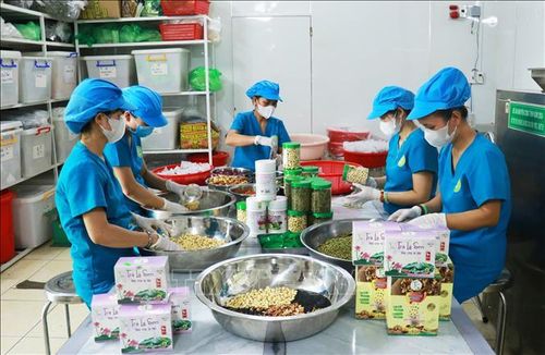 Hoạt động sản xuất tại Hợp tác xã Nông sản Sen Triệu Sơn, xã Triệu Cơ (Quảng Trị).