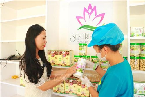 Gian hàng giới thiệu sản phẩm của Hợp tác xã Nông sản sen Triệu Sơn, xã Triệu Cơ (Quảng Trị).