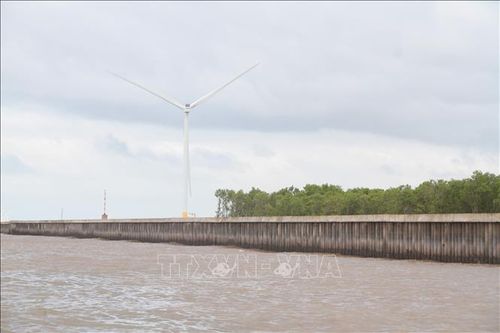 Các dự án điện gió tại Cà Mau đang được vận hành hiệu quả, góp phần bổ sung nguồn điện năng cho hệ thống điện quốc gia. Ảnh: Chanh Đa/TTXVN