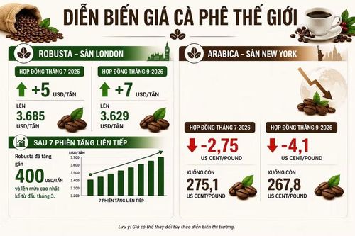 Giá cà phê thế giới diễn biến trái chiều. Ảnh: AI/M.T 