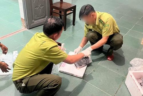 Lực lượng chức năng kiểm tra nhiều túi đựng rắn hổ chúa. Ảnh: Tuấn Anh
