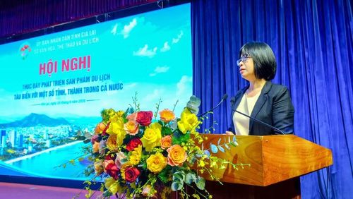 Phó Chủ tịch UBND tỉnh Nguyễn Thị Thanh Lịch phát biểu khai mạc hội nghị. Ảnh: Đoan Ngọc